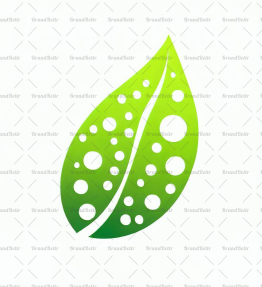 Tautropfen auf einem Blatt